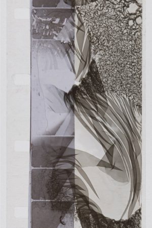 strikethrough 48 (2025) poster