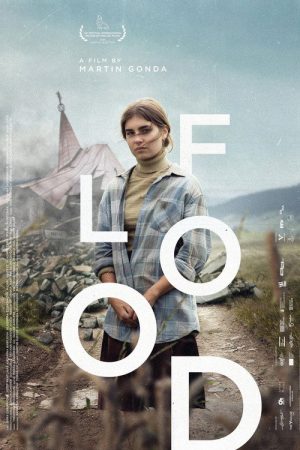 Flood (2025) poster