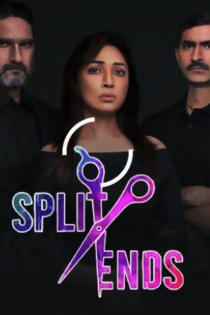 Split Ends (2020) poster