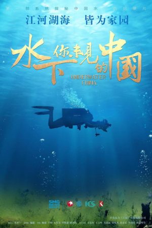 水下·你未见的中国 (2019) poster