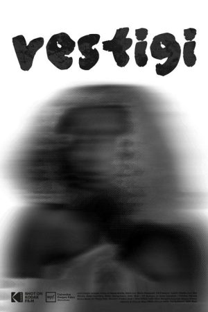 Vestigi (2024) poster