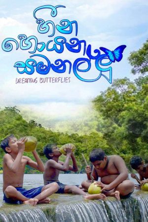 Dreaming Butterflies (2017) poster