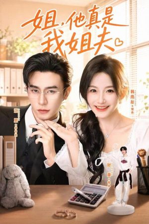 姐，他真是我姐夫 (2026) poster
