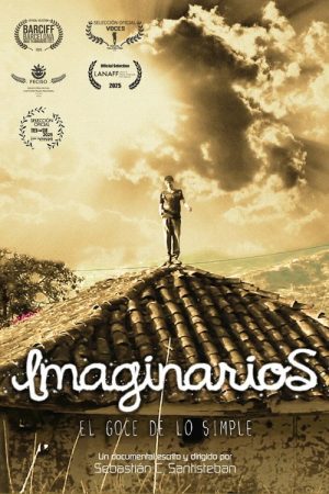 2013: Imaginarios, el goce de lo simple (2024) poster