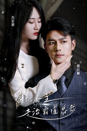 疯批女主专治霸道总裁 (2023) poster