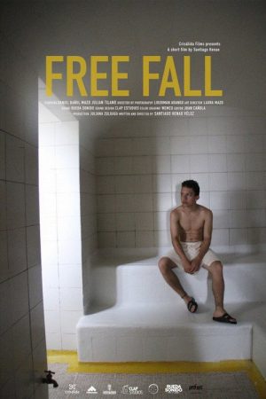 Free Fall (2018) poster