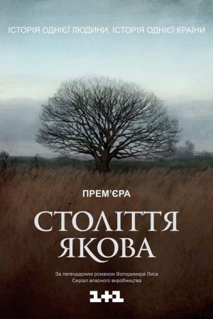 Jacob’s Century (2016) poster