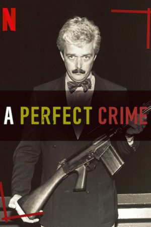 A Perfect Crime (2020) poster