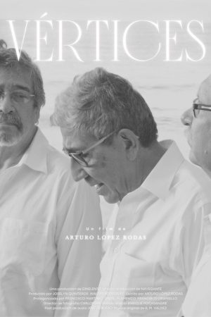 Vertices (2025) poster
