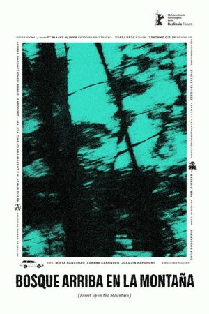 Forest up in the Mountain (2026) poster