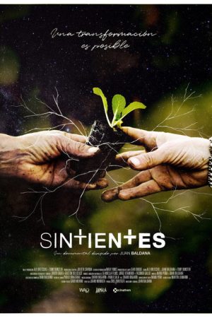 Sintientes (2020) poster