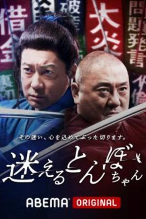 迷えるとんぼちゃん (2022) poster