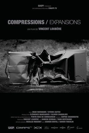 Compressions/Expansions (2016) poster