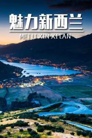 魅力新西兰 (2016) poster
