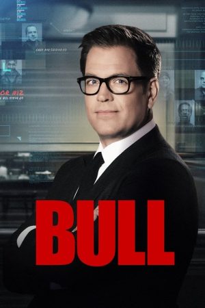 Bull (2016) poster