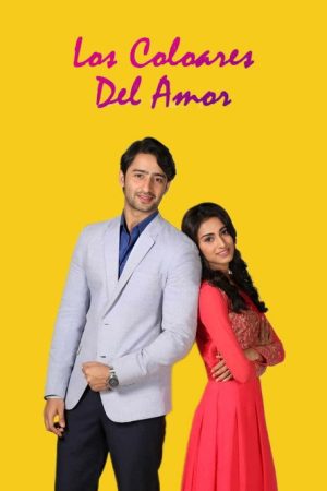 Los Colores del Amor (2016) poster