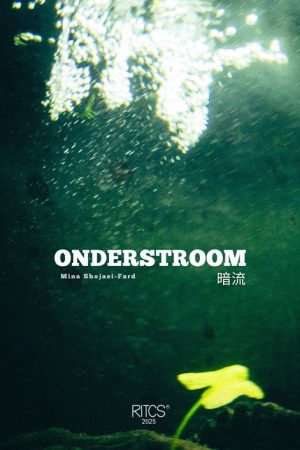 Undercurrent – 暗流 (2025) poster