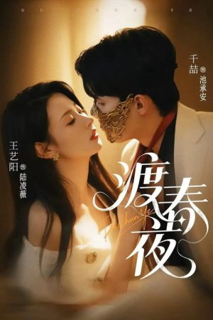 渡春夜 (2025) poster