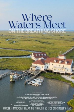 Where the Waters Meet on the Breathing Shore (2026) poster