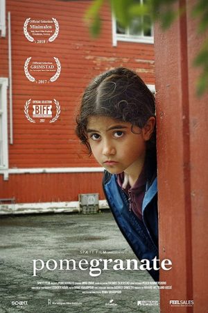 Pomegranate (2017) poster