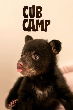 Cub Camp (2025) poster