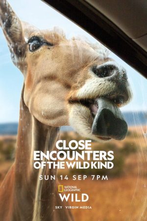 Close Encounters of the Wild Kind (2025) poster
