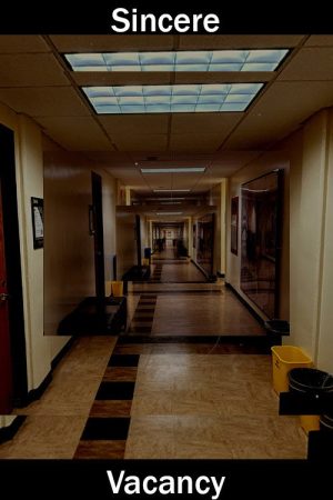 Sincere Vacancy (2026) poster