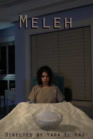 Salt (2022) poster