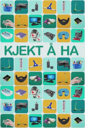 Kjekt å ha (2016) poster