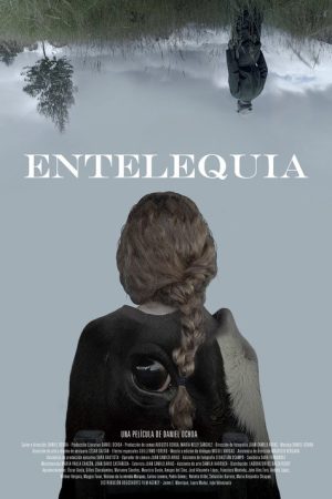 Entelechy (2021) poster