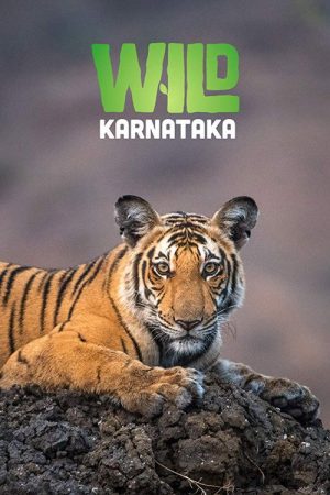 Wild Karnataka (2019) poster