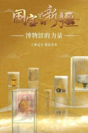 国宝里的新疆 (2022) poster