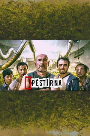Pěstírna (2017) poster
