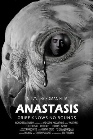 Anastasis (2020) poster
