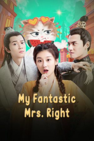 My Fantastic Mrs Right (2020) poster