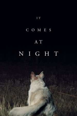 It Comes at Night (2017) poster