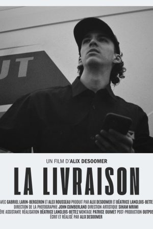 The Delivery (2026) poster