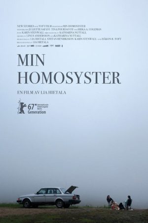 My Gay Sister (2017) poster