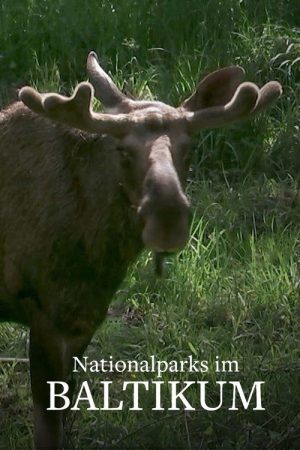 Nationalparks im Baltikum (2023) poster