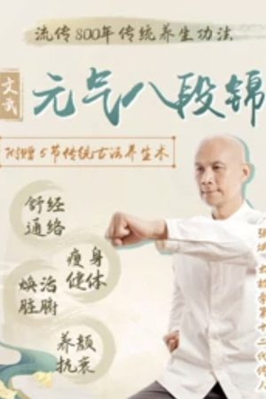 文武元气八段锦 (2023) poster