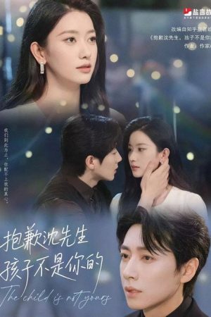 抱歉沈先生，孩子不是你的 (2025) poster
