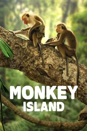 Monkey Island (2018) poster