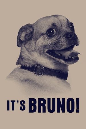 It’s Bruno! (2019) poster