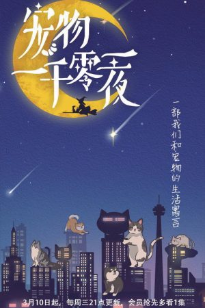 宠物一千零一夜 (2021) poster
