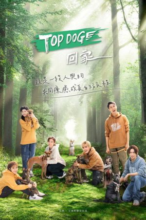 TOP DOG (2023) poster