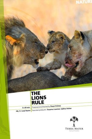 The Lions Rule (2017) poster