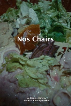 Nos chairs (2025) poster