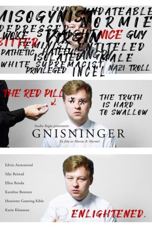 Frictions (2020) poster