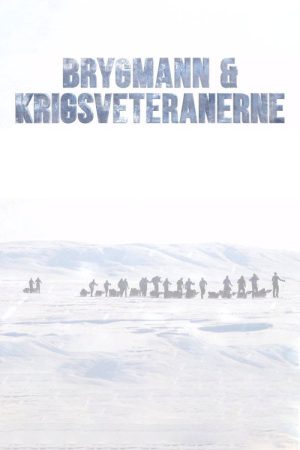 Brygmann og krigsveteranerne (2017) poster