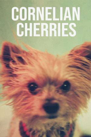 Cornelian Cherries (2020) poster